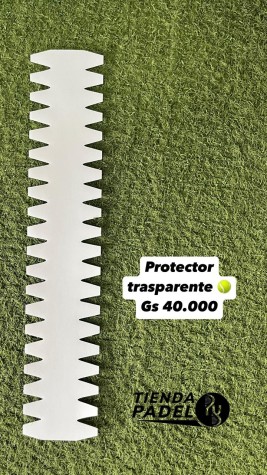 PROTECTORTRANSPARENTECONDIENTES